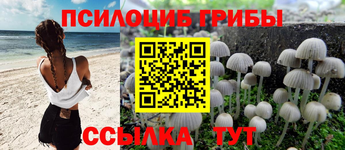 Когалым  где продают   Вход с VPN  Псилоцибиновые грибы GOLDEN TEACHER 
